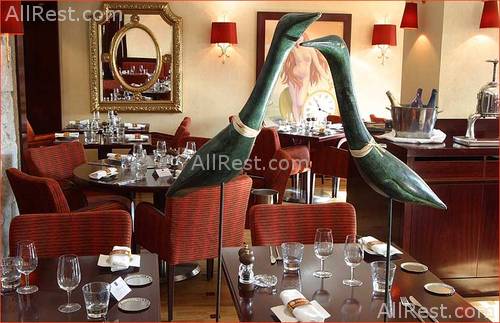 Aston Hotel 17